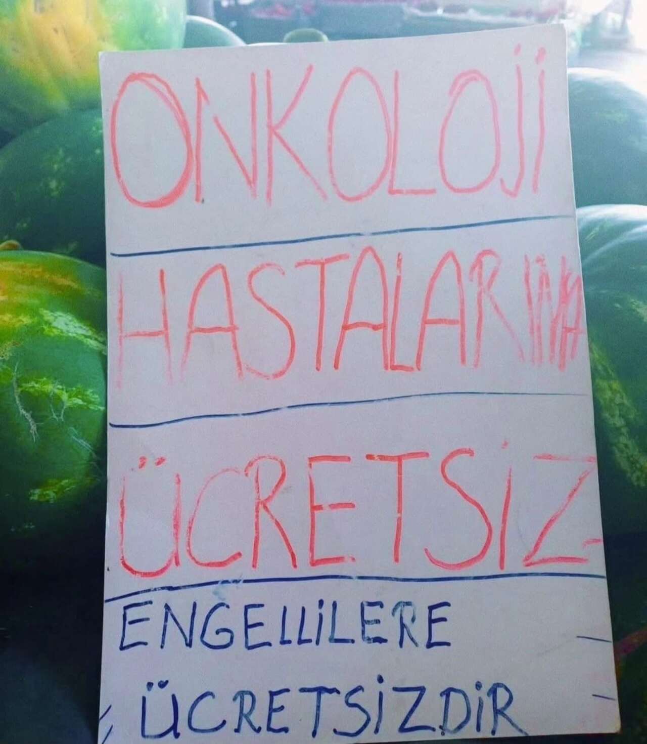 Muğla’da Gören Fotoğraf Çekti: Kavunlara Yazdığı Notlarla Gündem Oldu 3